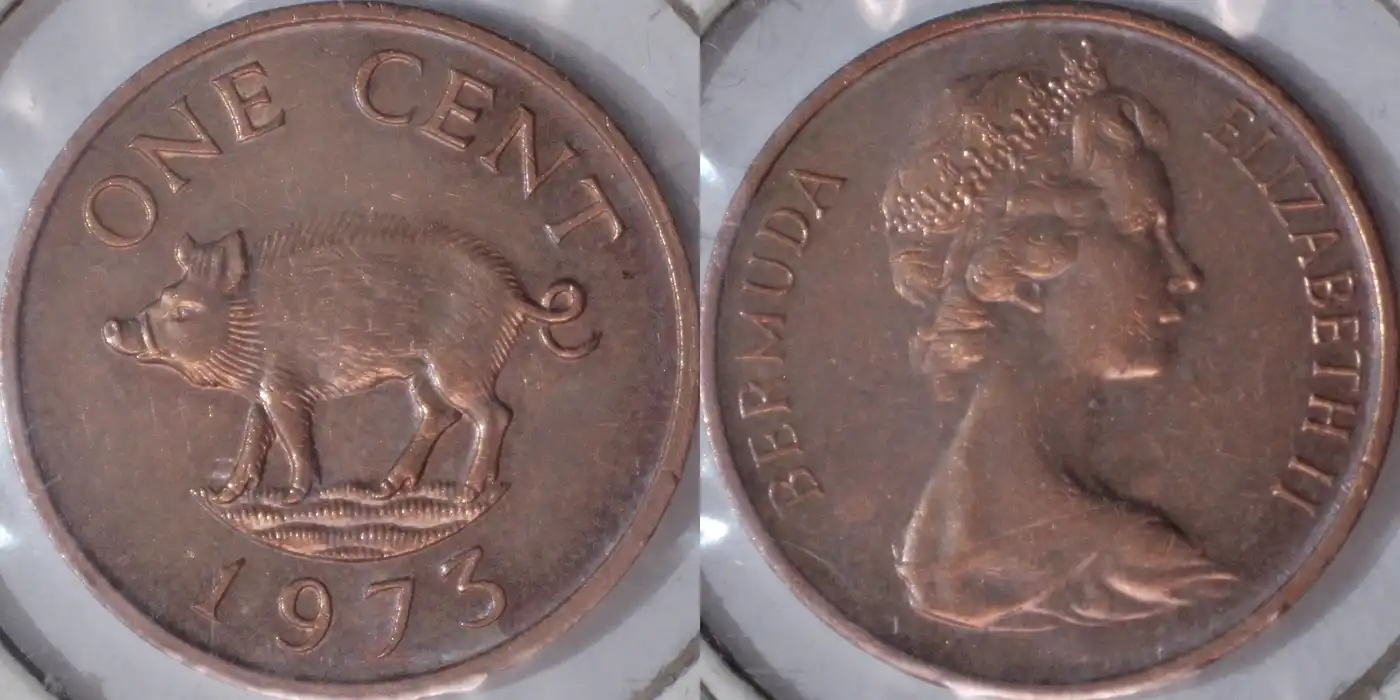 Post-Your-Coins-Representing-The-Animal-Kingdom.